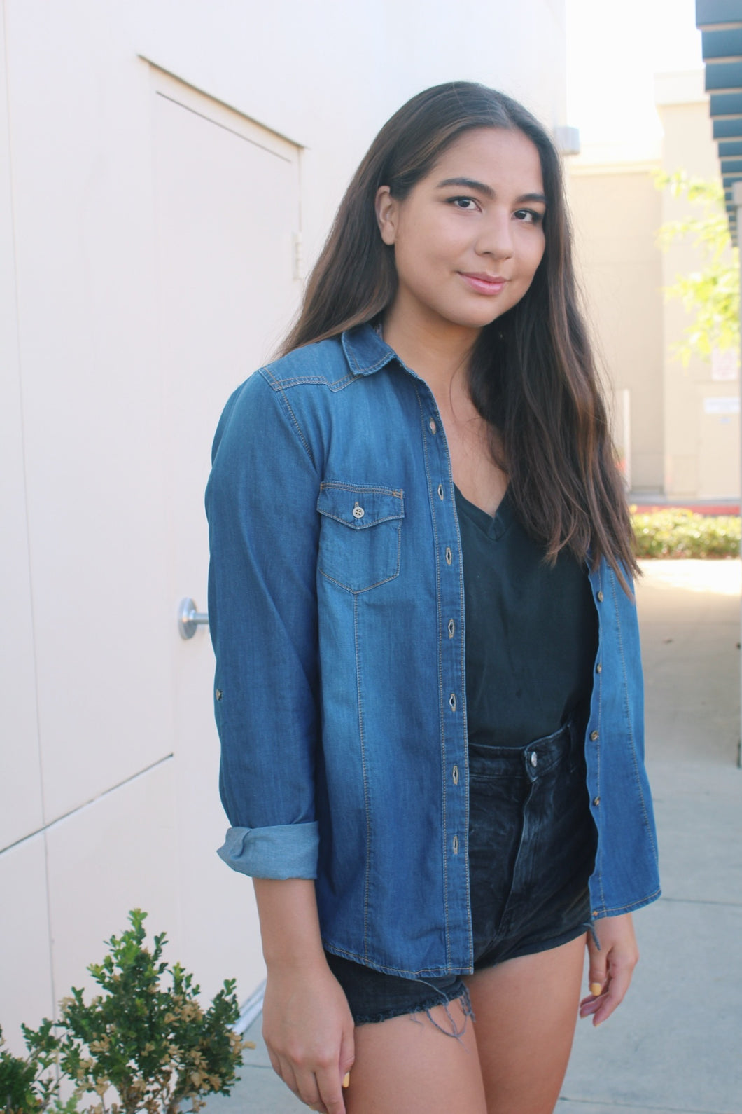 DAKOTA DENIM TOP